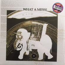 Load image into Gallery viewer, Pépé Bradock : What A Mess! (LP, Album, Ltd)