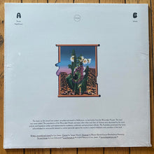 Load image into Gallery viewer, Leo James : Infinity (LP)