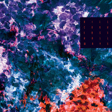 Load image into Gallery viewer, Bill Converse : Hallways (2xLP, Album)