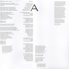 Load image into Gallery viewer, Hot Chip : A Bath Full Of Ecstasy (2xLP, Album)