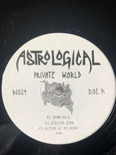Load image into Gallery viewer, AstroLogical (2) : Private World (12", EP)