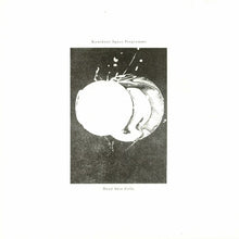 Load image into Gallery viewer, Kamikaze Space Programme : Dead Skin Cells (2x12", Album)