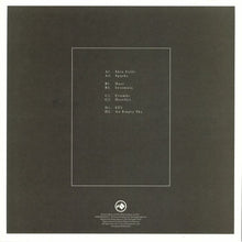 Load image into Gallery viewer, Kamikaze Space Programme : Dead Skin Cells (2x12", Album)