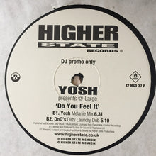 Load image into Gallery viewer, Yosh Presents @Large* : Do You Feel It (12")