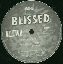 Load image into Gallery viewer, Blissed : Ki 気 (12")