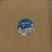 Load image into Gallery viewer, Cameo Blush : Murky Waters EP (12", EP)