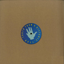 Load image into Gallery viewer, Cameo Blush : Murky Waters EP (12", EP)