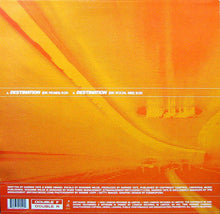 Load image into Gallery viewer, DT8* Feat. Roxanne Wilde : Destination (BK Mixes) (12")