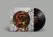 Load image into Gallery viewer, Floating Spectrum : A Point Between (LP, Album)