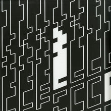 Load image into Gallery viewer, Hydergine : Inductive Signal (12")