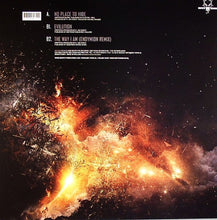 Load image into Gallery viewer, Evil Activities : No Place To Hide (12")
