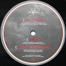 Load image into Gallery viewer, Evil Activities : No Place To Hide (12")