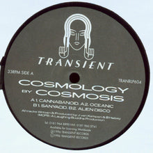 Load image into Gallery viewer, Cosmosis : Cosmology (2xLP, Album)