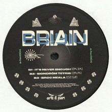 Load image into Gallery viewer, Briain : e-fax004 (12")
