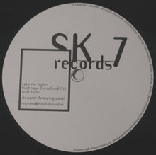 Load image into Gallery viewer, Disrupter : Take Me Higher (12")