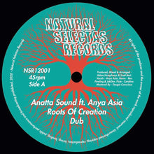 Load image into Gallery viewer, Anatta Sound ft. Anya Asia : Roots Of Creation (12", Ltd)