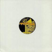 Load image into Gallery viewer, SUDS (4) : Sick Universe Demands Sharing (12")