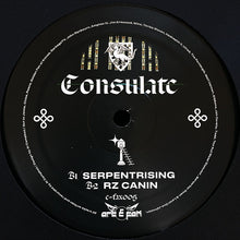 Load image into Gallery viewer, Consulate : E-FAX005 (12", Ltd)