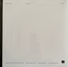 Load image into Gallery viewer, Werner Dafeldecker : Parallel Darks (LP, Album)