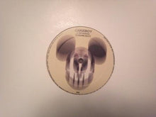 Load image into Gallery viewer, Cakeboy : Top Banana (12")