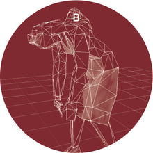 Load image into Gallery viewer, Lårry : Kauz (12")