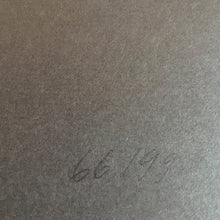 Load image into Gallery viewer, Laurin Huber : Juncture (12", Album, Ltd, Num)