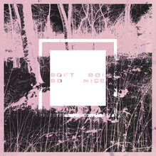 Load image into Gallery viewer, Soft Boi : So Nice (2xLP, Album)