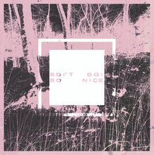 Load image into Gallery viewer, Soft Boi : So Nice (2xLP, Album)