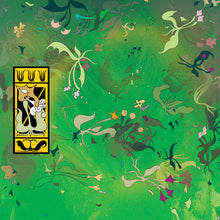 Load image into Gallery viewer, Shakey (5) : Shakey (12")