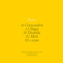 Load image into Gallery viewer, Shakey (5) : Shakey (12")