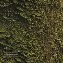 Load image into Gallery viewer, S Gytis : Takeliu (12", EP)
