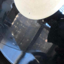 Load image into Gallery viewer, Twin Style : Everybody In Da Place (12", Promo, W/Lbl)