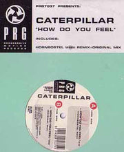 Load image into Gallery viewer, Caterpillar : How Do You Feel (12", Promo)