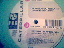 Load image into Gallery viewer, Caterpillar : How Do You Feel (12", Promo)