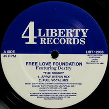 Load image into Gallery viewer, Free Love Foundation Featuring Destry : The Sound (12")