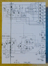 Load image into Gallery viewer, Correlations : Hot Pots (LP, 180)