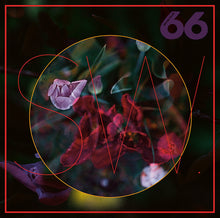 Load image into Gallery viewer, SW. : TRUElipS (2x12", Album)