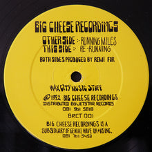 Load image into Gallery viewer, Remi (9) : Running Miles (12")