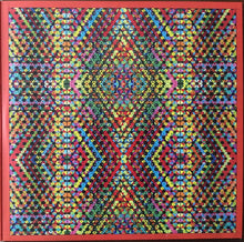 Load image into Gallery viewer, Sufjan Stevens : The Ascension (2xLP, Album)