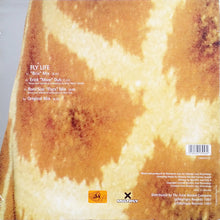 Load image into Gallery viewer, Basement Jaxx : Fly Life (12", Single)