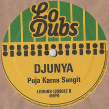 Load image into Gallery viewer, Djunya : Elevate (12")