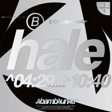 Load image into Gallery viewer, Bambounou : 033 (12")