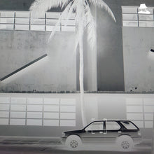 Load image into Gallery viewer, Actress : Karma & Desire (2xLP)