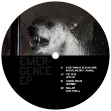 Load image into Gallery viewer, Various : Emergence EP (12", EP, Ltd)