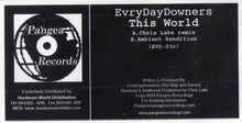 Load image into Gallery viewer, Evrydaydowners : This World EP (Part Two) (12", Promo, W/Lbl)