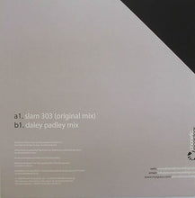 Load image into Gallery viewer, Rob Roar & Felix Baumgartner (2) : Slam 303 (12")
