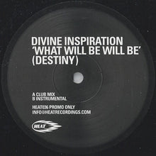 Load image into Gallery viewer, Divine Inspiration : What Will Be Will Be (Destiny) (12", Promo)