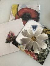 Load image into Gallery viewer, Teebs : Ardour 10th Anniversary Edition (2xLP, Album, Ltd, RE, Dee)