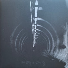 Load image into Gallery viewer, The Bug Ft. Dis Fig : In Blue (2x12", Album, Blu)
