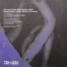 Load image into Gallery viewer, Shed : Remixes (12")